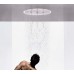 Верхний душ Hansgrohe Raindance Rainmaker 28404000 с подсветкой, комплект