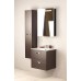 Мебель для ванной Roca Victoria Nord 60 подвесная левая зеркальный шкаф черный глянцевый